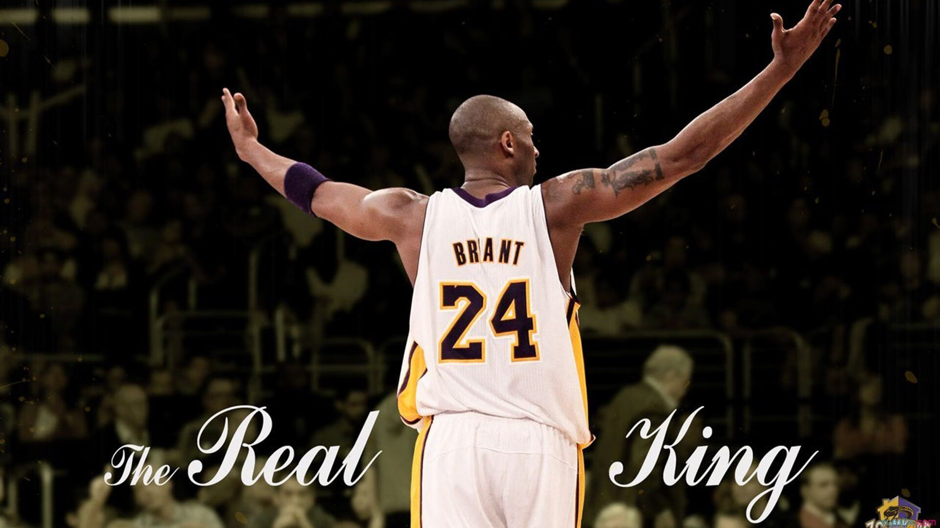 开云体育平台-LPL团队配合策略创新展示，团队搭配赛高分攻略